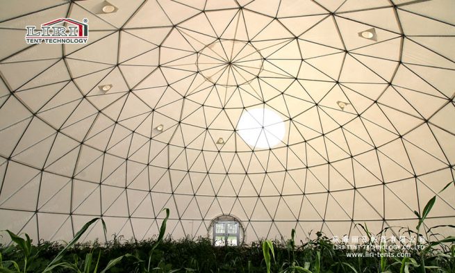 геодезический купол для внутреннего сада